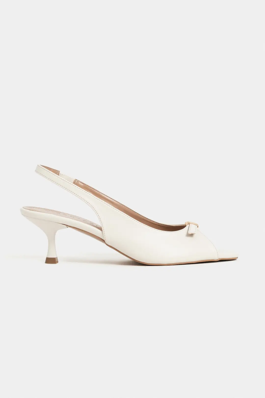 Rone Matte Pointed Toe Front Buckle Slim Heel Shoe